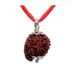 ganesh rudraksha