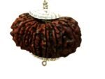 Rudraksha