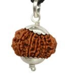 Rudraksha