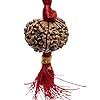 10 Rudraksha