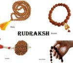 13 Rudraksha