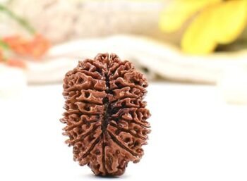 18 Mukhi Rudraksha – Original Nepali