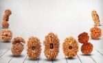 20 Rudraksha