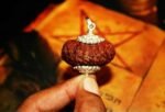 21 mukhi Rudraksha