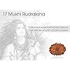 Rudraksha