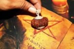 20 Rudraksha