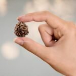 3 Rudraksha