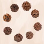 Rudraksha